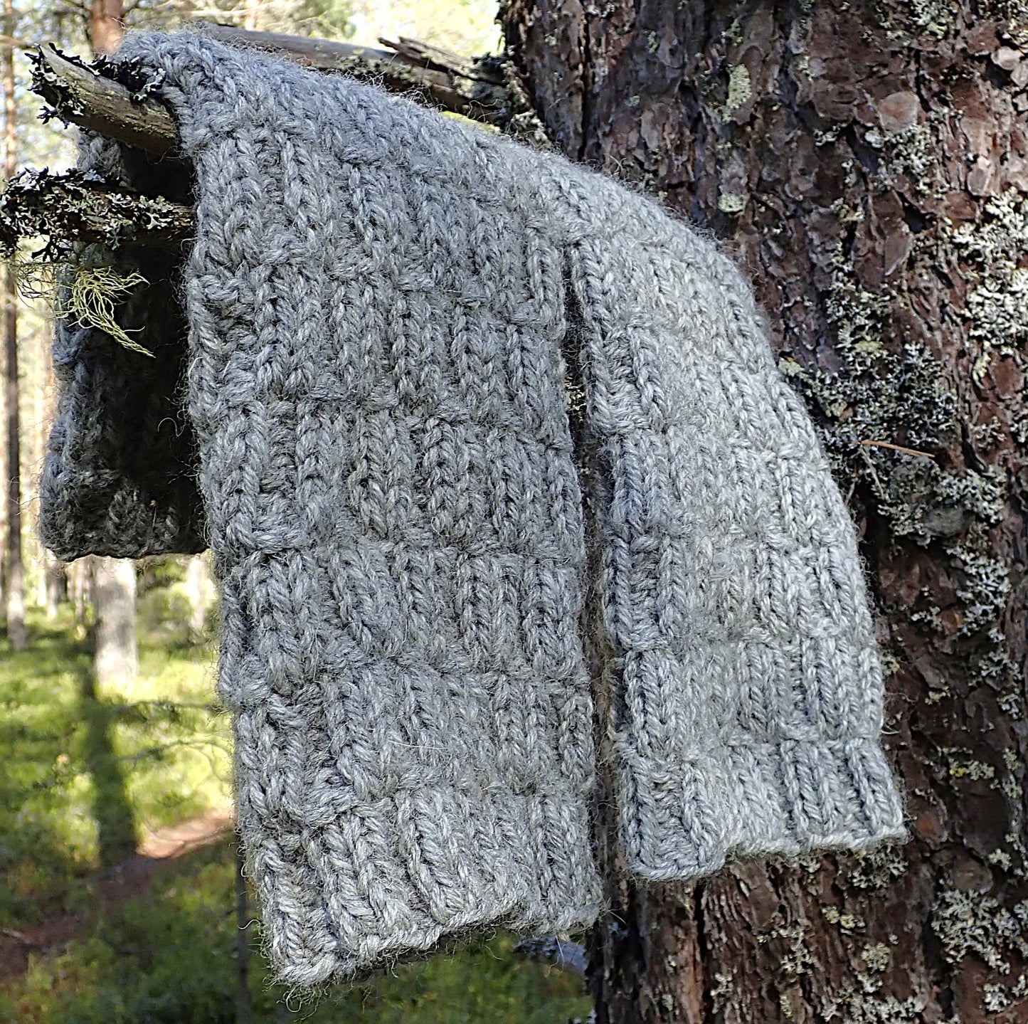 Harmaat säärystimet roikkuvat kuusen oksasta. Säärystimien pintaneule muistuttaa punotun korin kuviota. Taustalla havumetsässä paistaa aurinko.