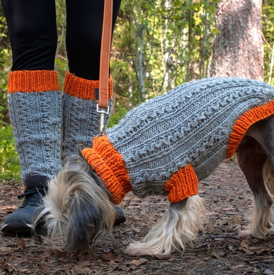 Kiinanharjakoira nuuhkii metsäpolulla taluttajan jalkojen vieressä yllään harmaa pintaneulemantteli. Manttelissa ja taluttajan säärystimissä on oranssit resorit ja samanlainen pintaneulekuvio..